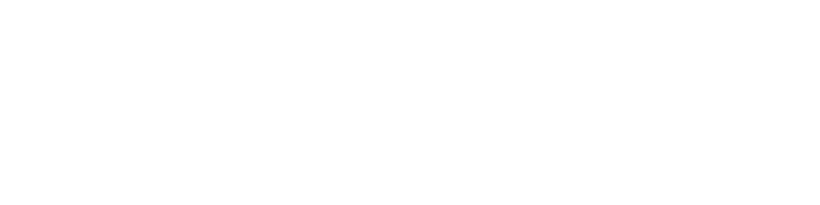 DMP logo white